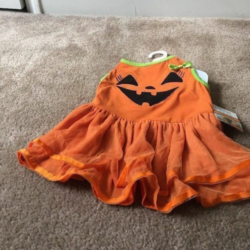 Martha Stewart Pets Pumpkin Face Costume Dress Pet Girl Dog Size L Multi-Color
